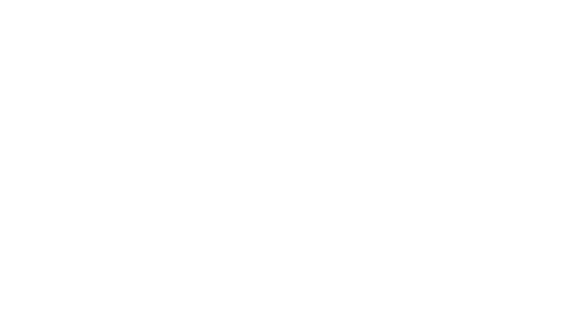 Berkenrhode